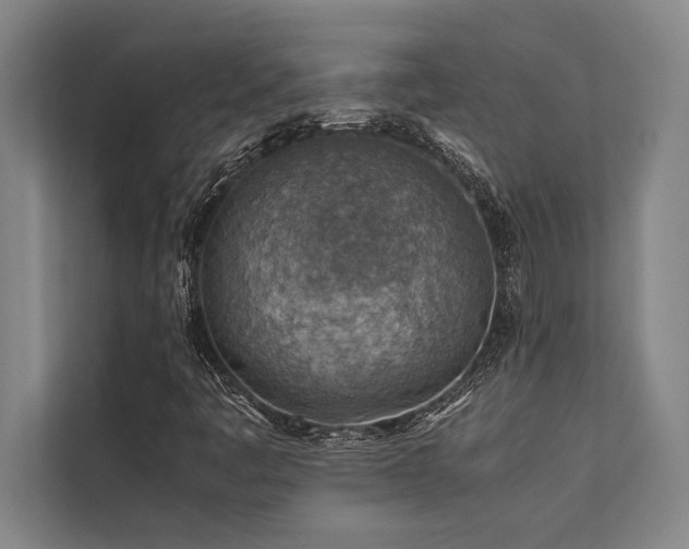 X0000113641445200909181447