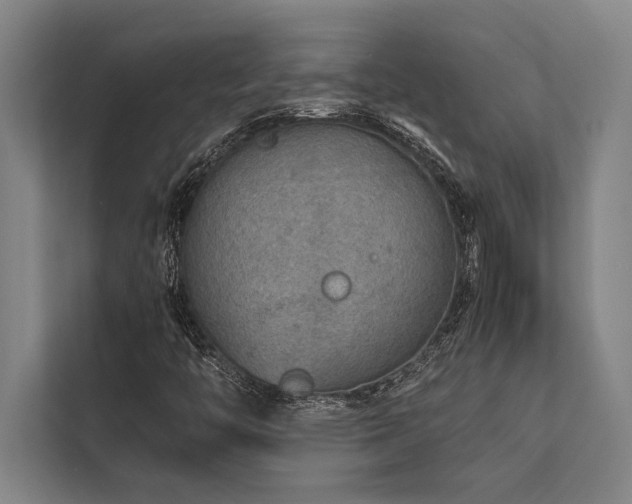 X0000113641446200909181447