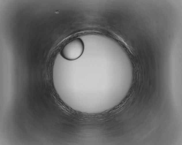 X0000113641448200909181447