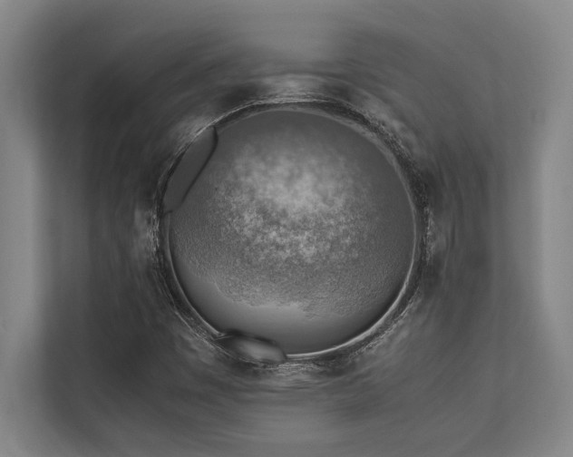 X0000113641449200909181447