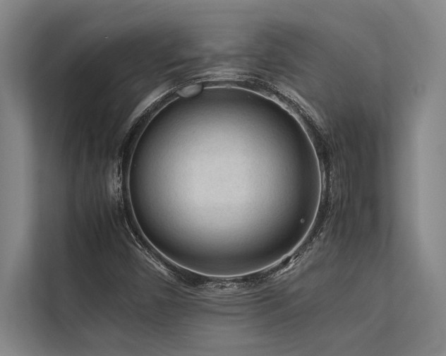 X0000113641450200909181447