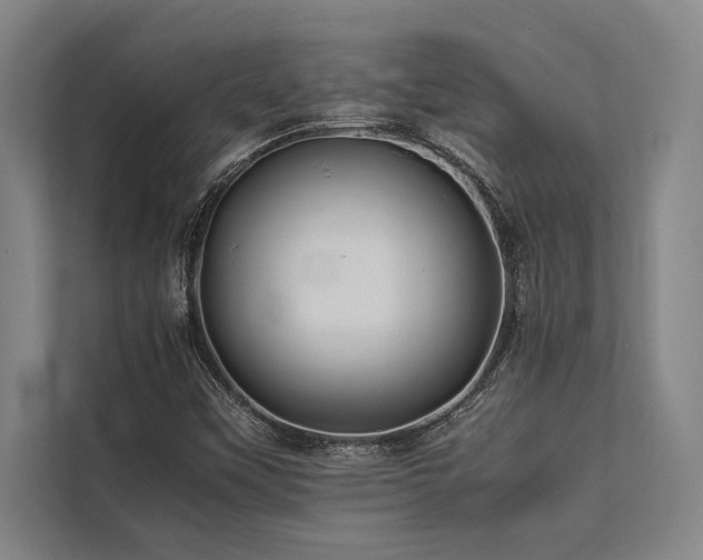 X0000113641451200909181447
