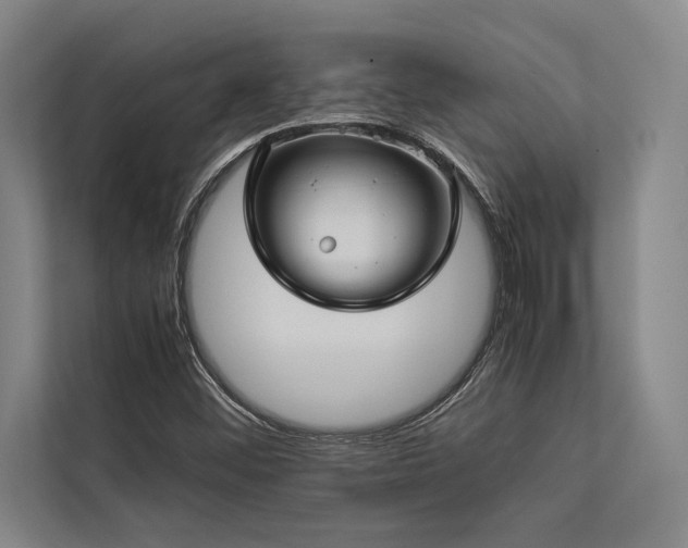 X0000113641452200909181447