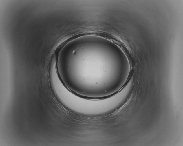 X0000113641453200909181447