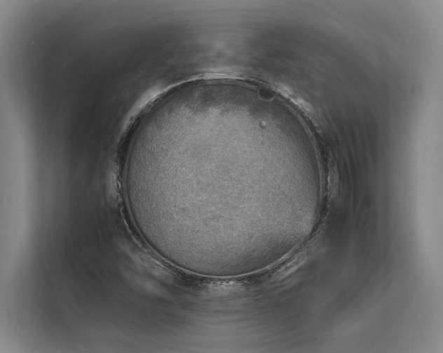 X0000113641454200909181447