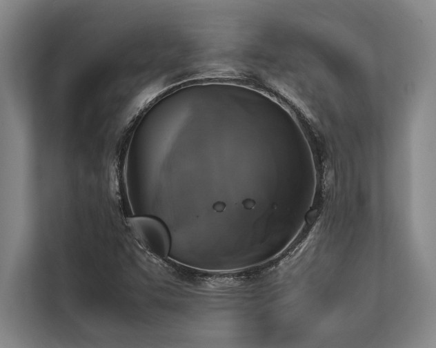 X0000113641455200909181447
