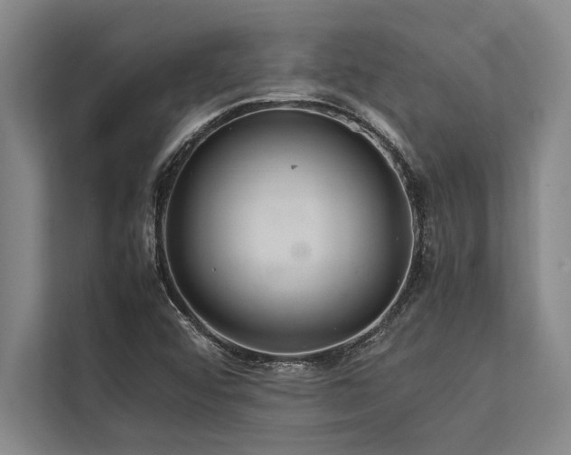 X0000113641456200909181447
