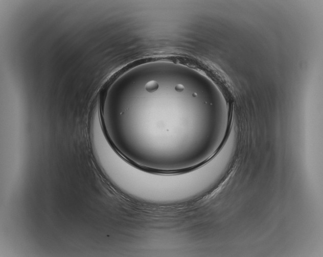X0000113641457200909181447