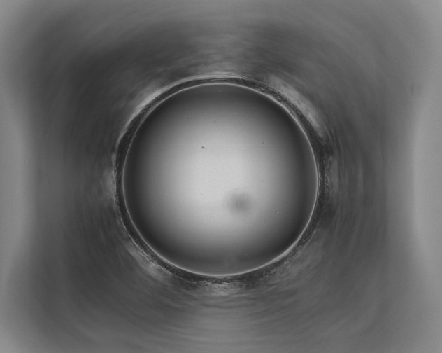 X0000113641460200909181447