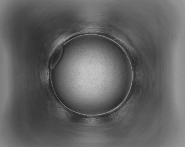 X0000113641461200909181447