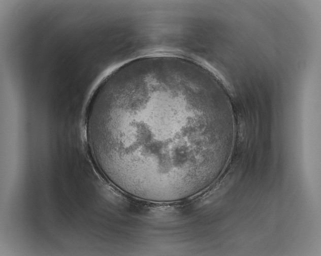 X0000113641462200909181447