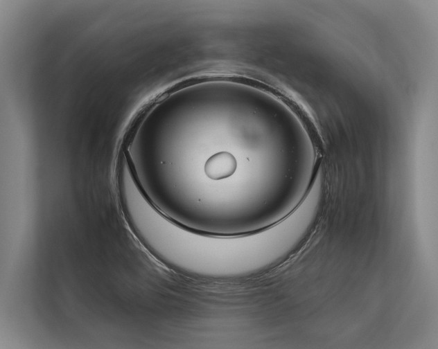 X0000113641464200909181447