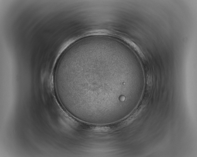 X0000113641466200909181447