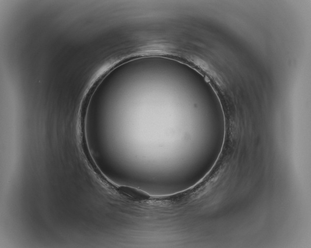 X0000113641469200909181447