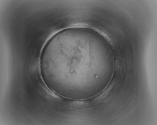 X0000113641470200909181447