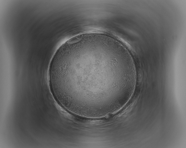 X0000113641471200909181447