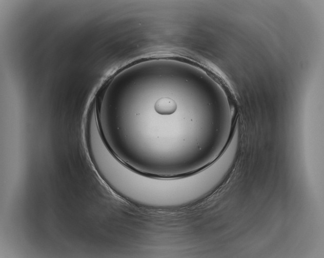 X0000113641472200909181447
