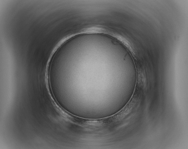 X0000113641478200909181447