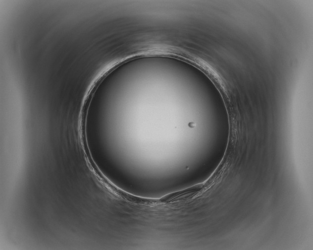 X0000113641480200909181447