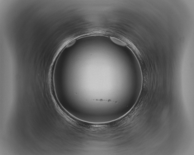 X0000113641483200909181446