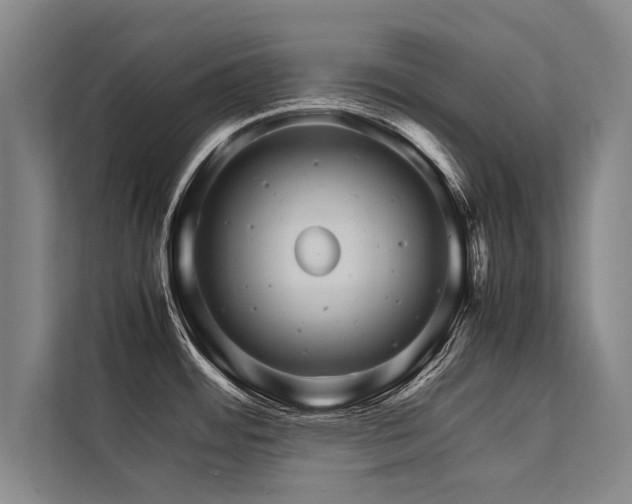 X0000113641484200909181446