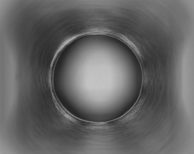 X0000113641486200909181446