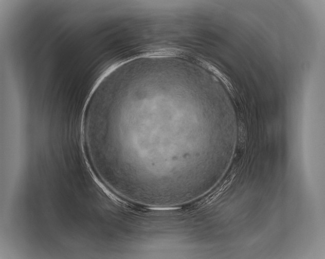 X0000113641487200909181446