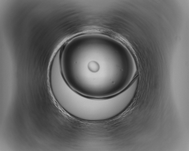 X0000113641488200909181446