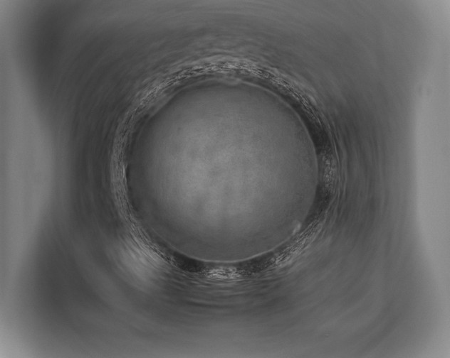 X0000113641489200909181446