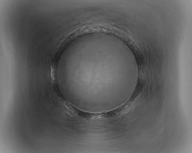 X0000113641490200909181446