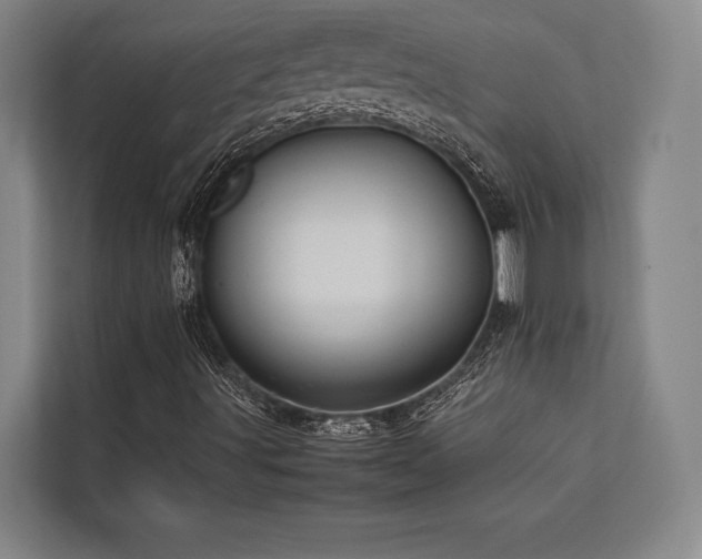 X0000113641491200909181446