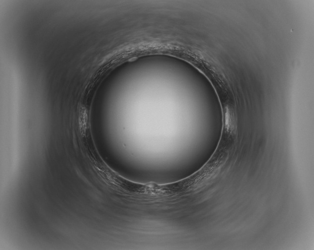 X0000113641492200909181446