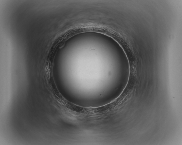 X0000113641493200909181446