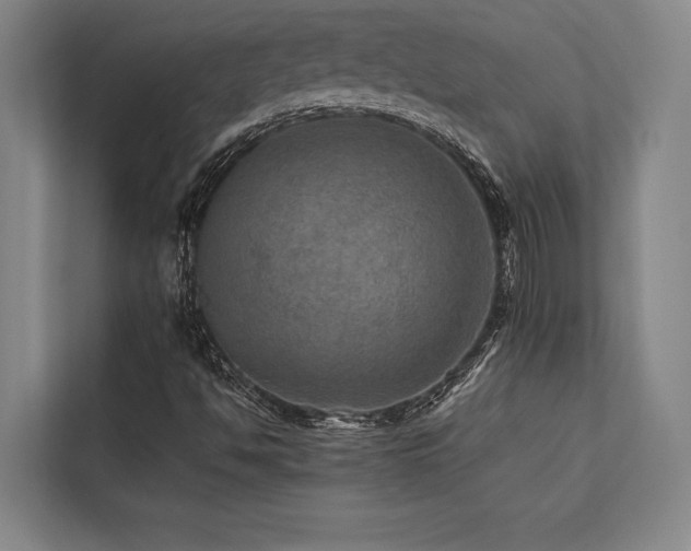 X0000113641494200909181446