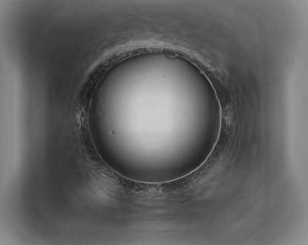 X0000113641495200909181446