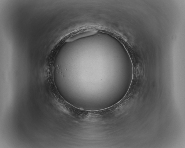 X0000113641496200909181446