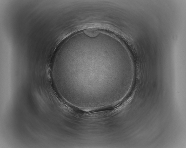 X0000113641497200909181446