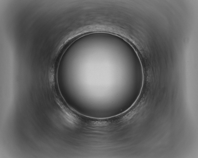 X0000113641499200909181446