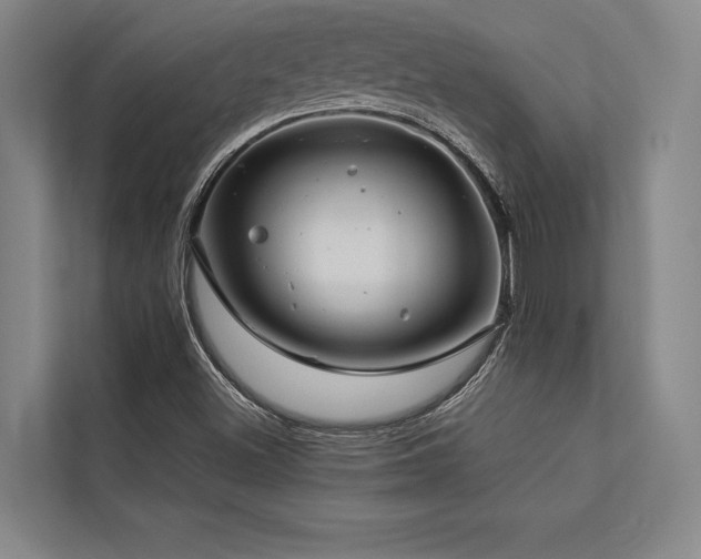 X0000113641500200909181446