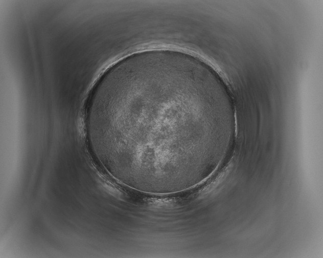 X0000113641501200909181446