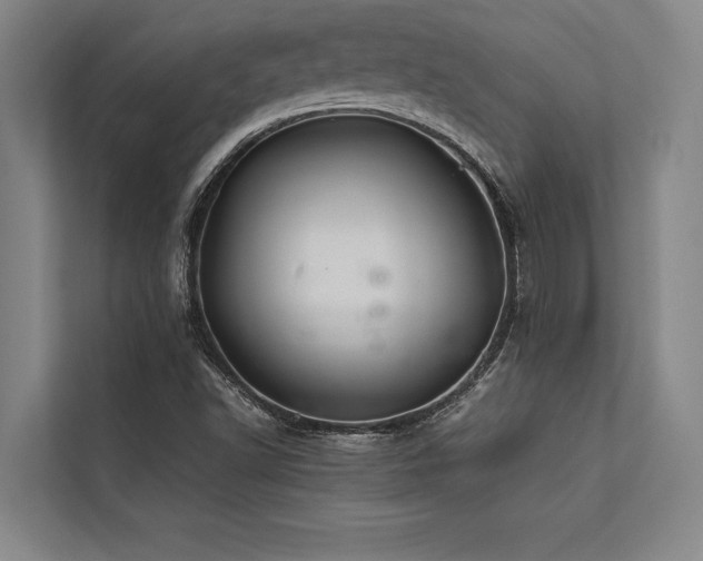 X0000113641502200909181446