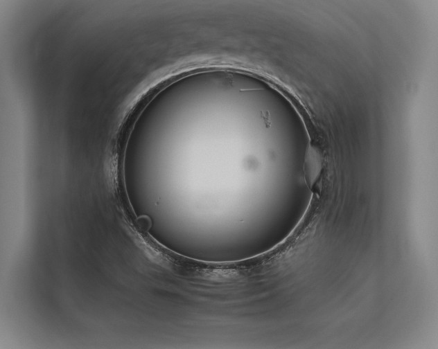 X0000113641503200909181446