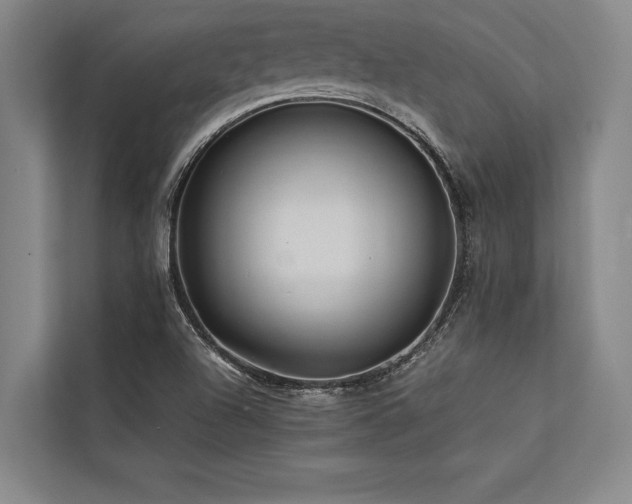 X0000113641504200909181446