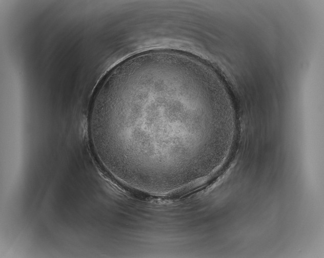 X0000113641505200909181446