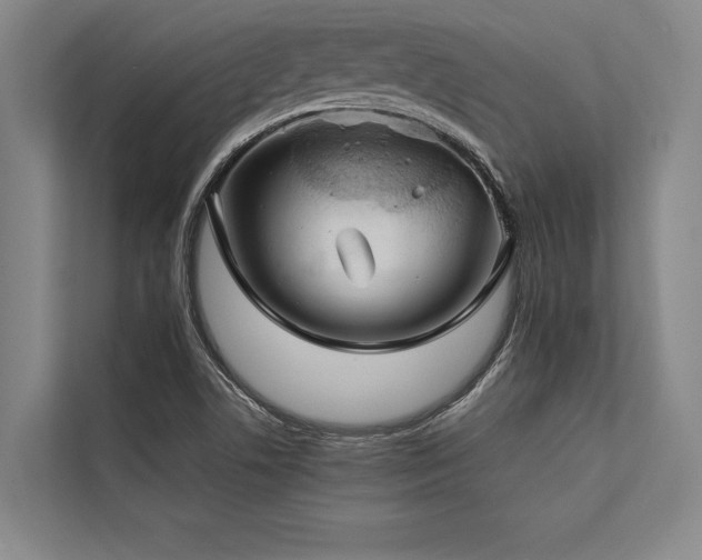 X0000113641506200909181446