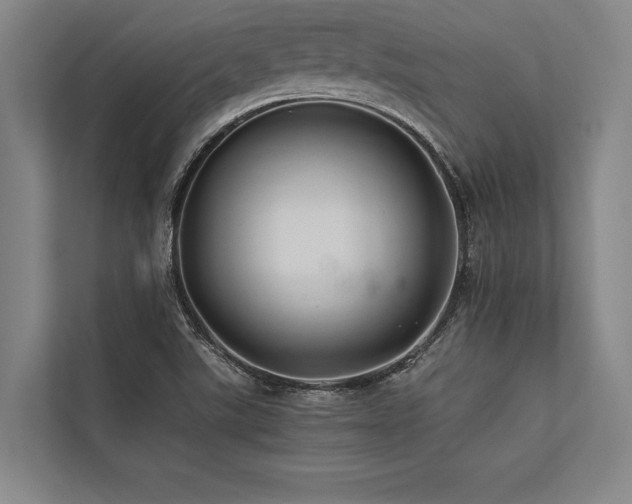 X0000113641507200909181446