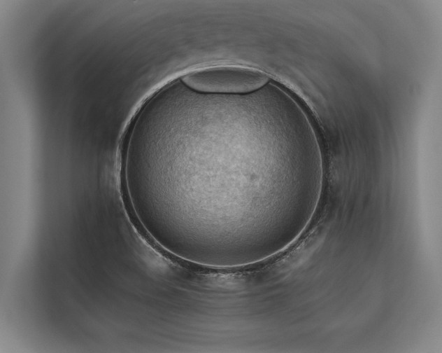 X0000113641508200909181446