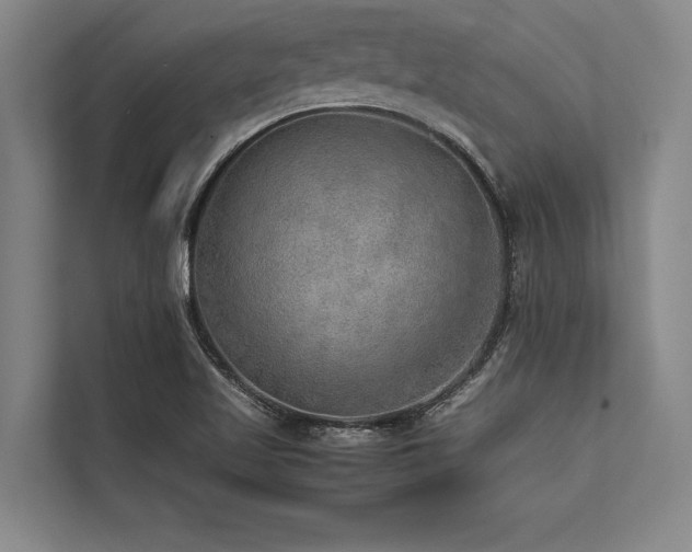 X0000113641509200909181446