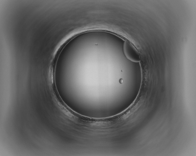 X0000113641510200909181446