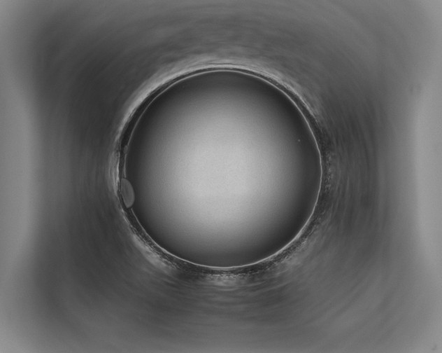 X0000113641511200909181446